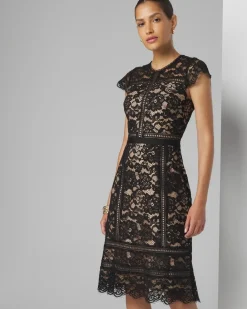 Petite Short Sleeve Lace Fit-and-Flare Dress*White House Black Market Clearance
