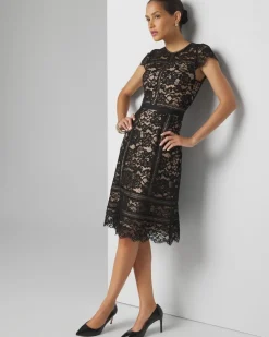 Petite Short Sleeve Lace Fit-and-Flare Dress*White House Black Market Clearance