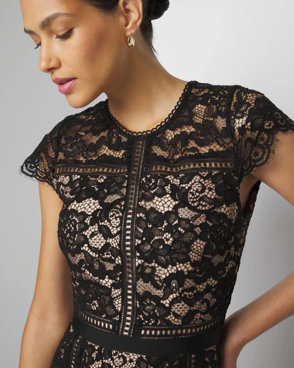 Petite Short Sleeve Lace Fit-and-Flare Dress*White House Black Market Clearance